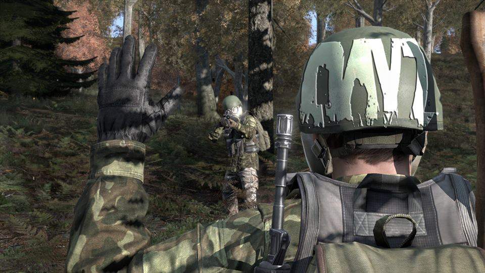 dayz 的图片
