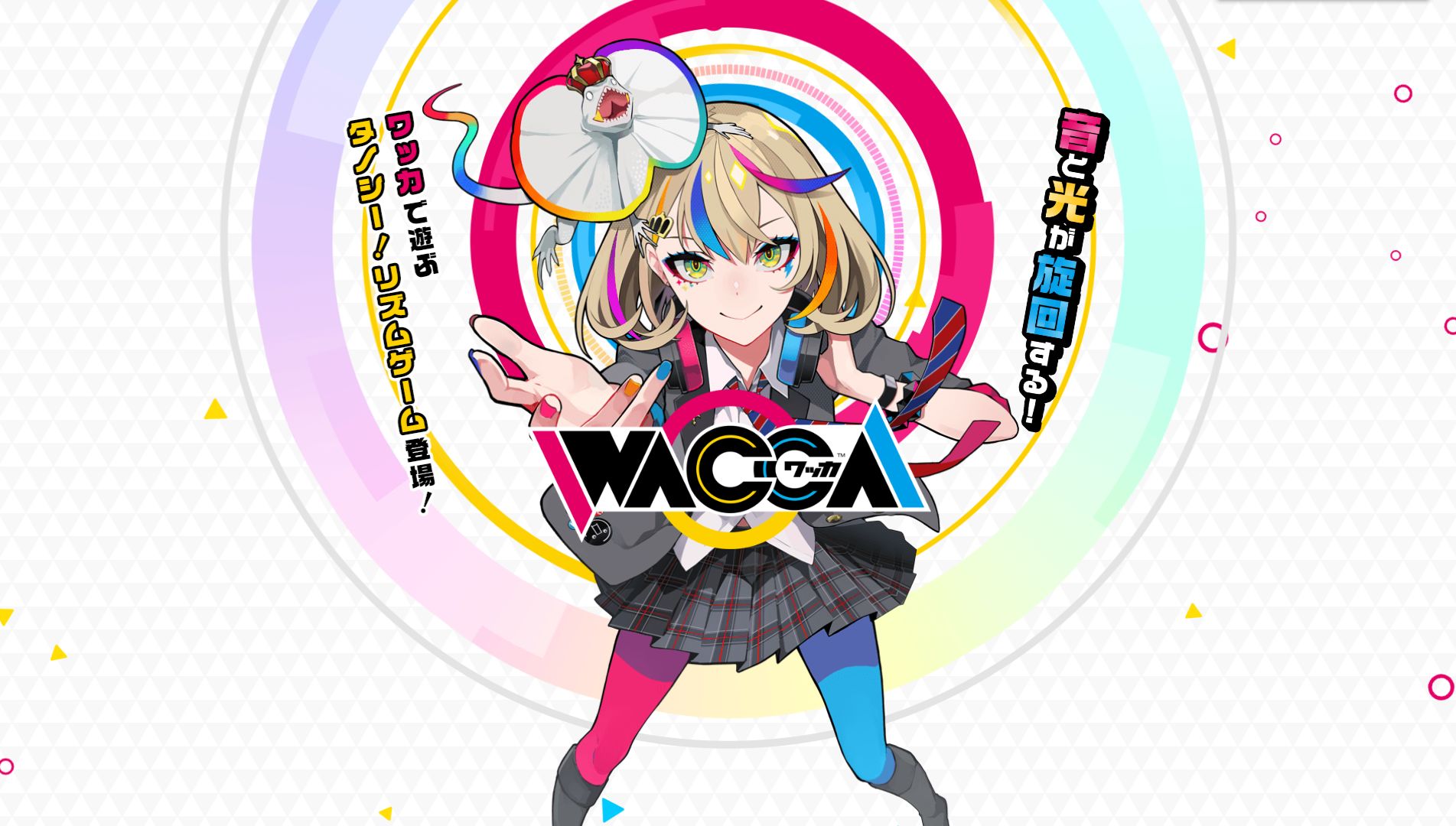 ワッカ wacca