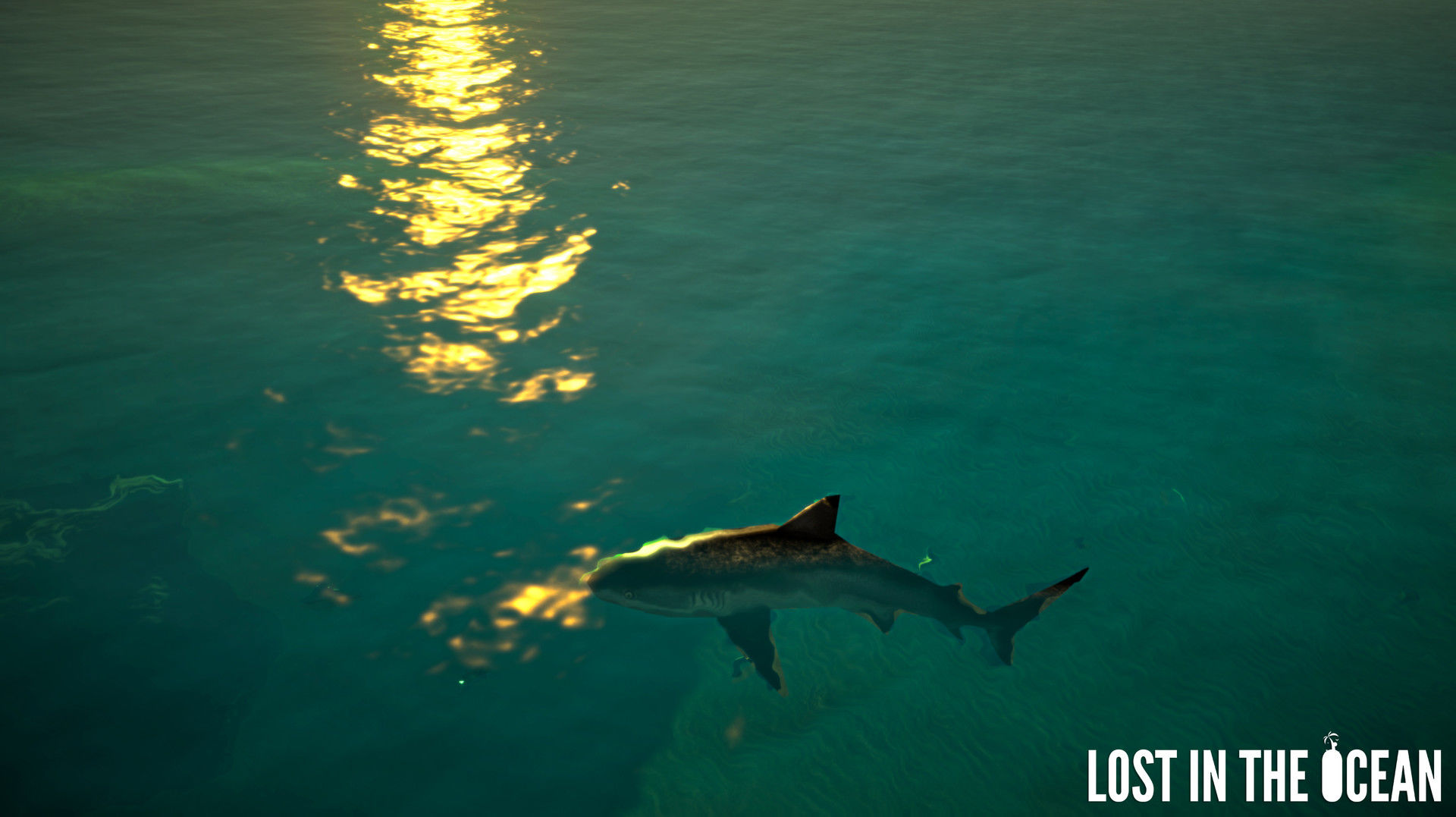 lost in the ocean vr