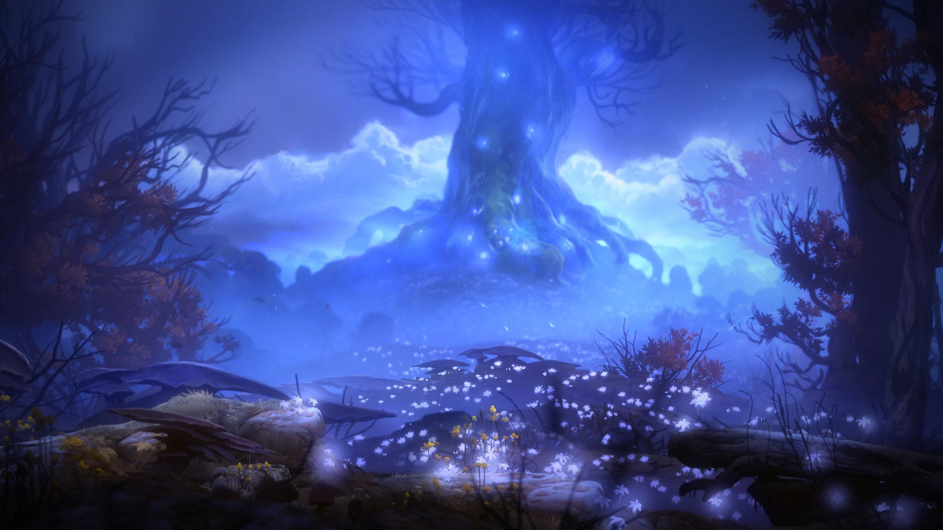 奥日与迷失森林 Ori and the Blind Forest 的图片