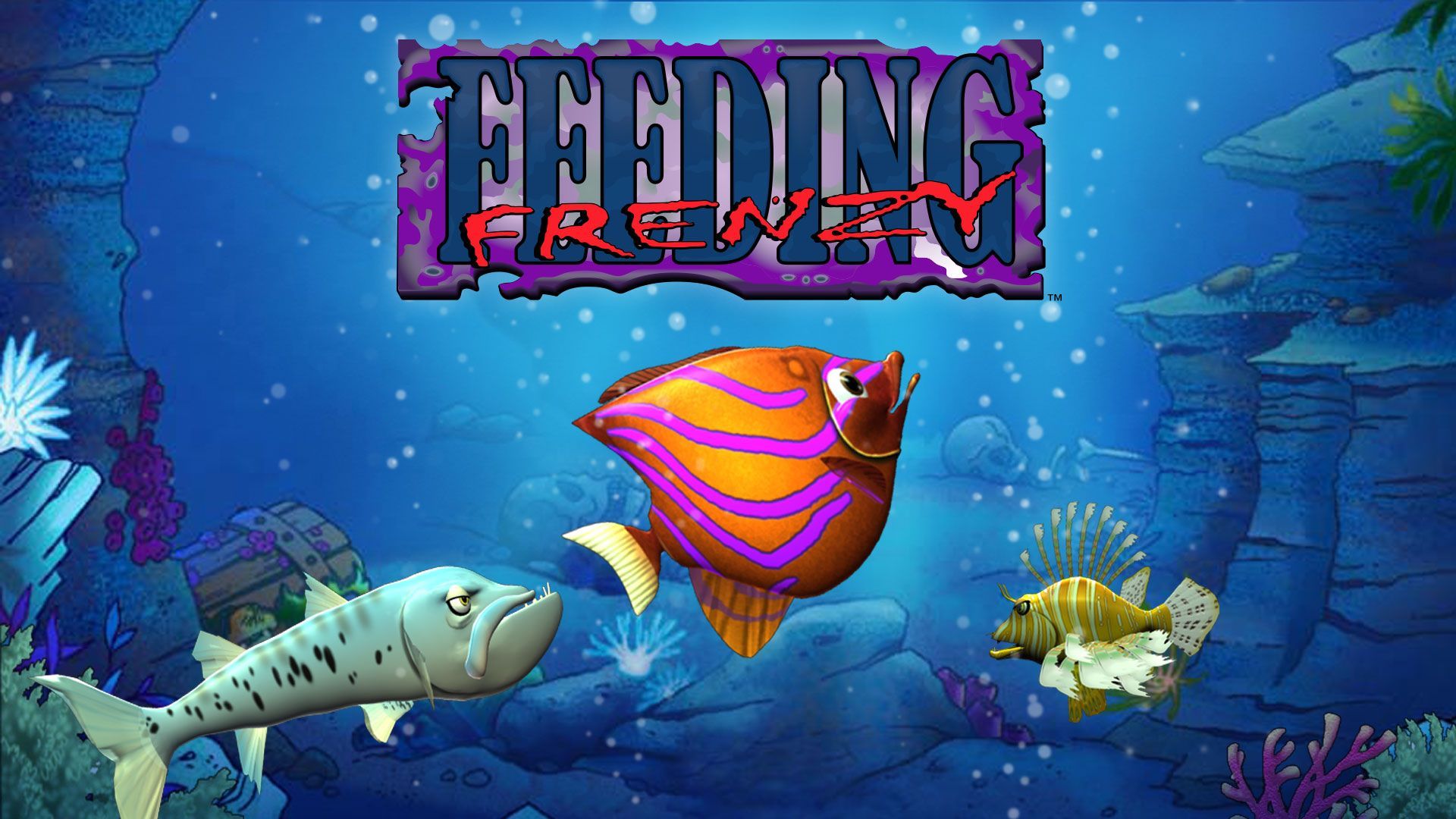 feedingfrenzy图片