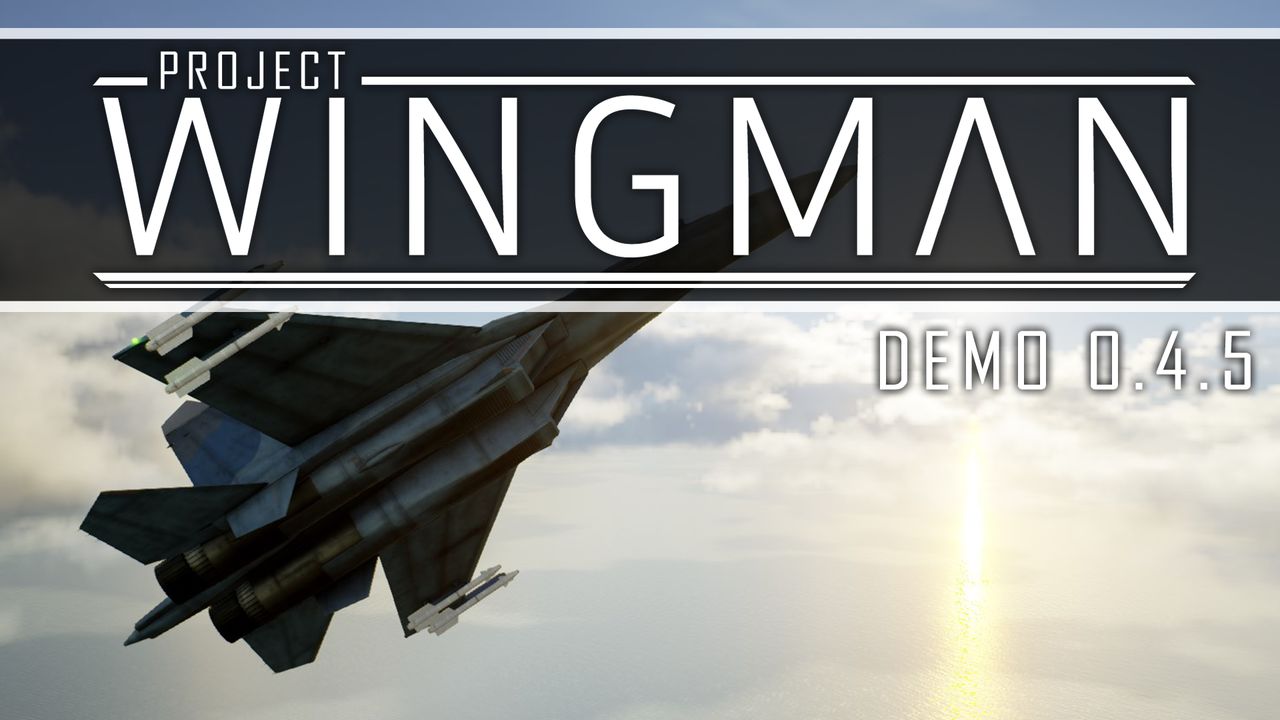 Wingman перевод. Wingman игра. Project Wingman. Project Wingman обложка. Project Wingman Monarch.