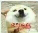 74a8b56c15a41635c3101576bd788c84.jpg