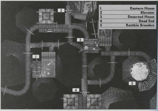 鼠人之树地图 （出自游戏官方攻略本）
