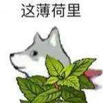 80cadc9df9e77d14b68aa918704dd42c.jpg