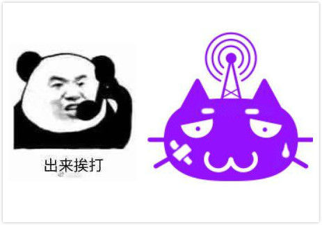 四代猫出来挨打