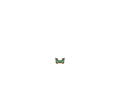 3415b2e391cf5e354048feed1aacda51.gif