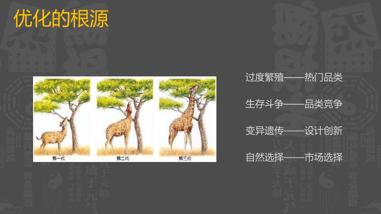 a89391bf23d023480288bbcf56a7edbd.jpg